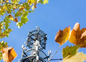Netzausfall bei Vodafone: Das sollten Sie wissen